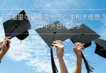 中外合作办学 | 在哪里可以查询中外合作办学的相关信息?