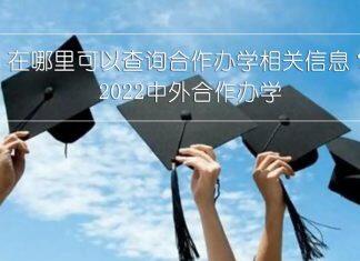 中外合作办学 | 在哪里可以查询中外合作办学的相关信息?