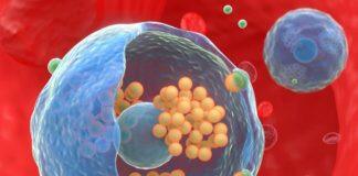 澳门大学成功研发细菌仿生纳米药可提升肿瘤治疗效果