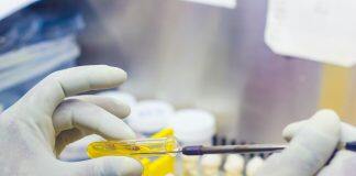 研究人员利用细菌增强混凝土的抗冻融性