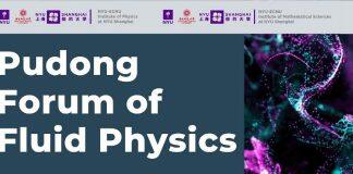 上纽大主办浦东流体物理论坛 学者云汇聚探讨科研新动态