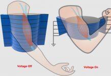 浙江大学伊利诺伊大学厄巴纳香槟校区联合学院石烨研究员Science发文:人工肌肉新突破