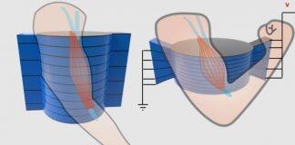 浙江大学伊利诺伊大学厄巴纳香槟校区联合学院石烨研究员Science发文:人工肌肉新突破