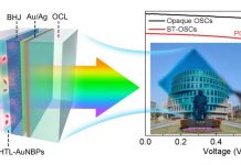 上海大学中欧学院徐韬副教授课题组在《Advanced Science》上发表最新研究成果