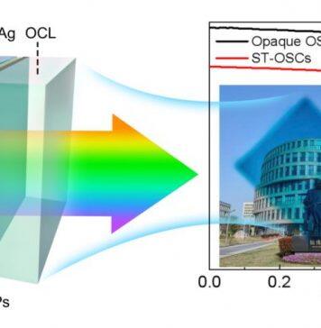 上海大学中欧学院徐韬副教授课题组在《Advanced Science》上发表最新研究成果
