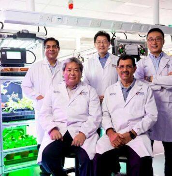 新加坡国立大学成立城市农业研究中心,助力新加坡粮食安全发展