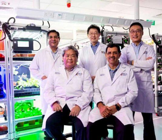 新加坡国立大学成立城市农业研究中心,助力新加坡粮食安全发展