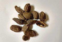 新加坡国立大学研究发现:黑豆蔻可以有效对抗肺癌细胞