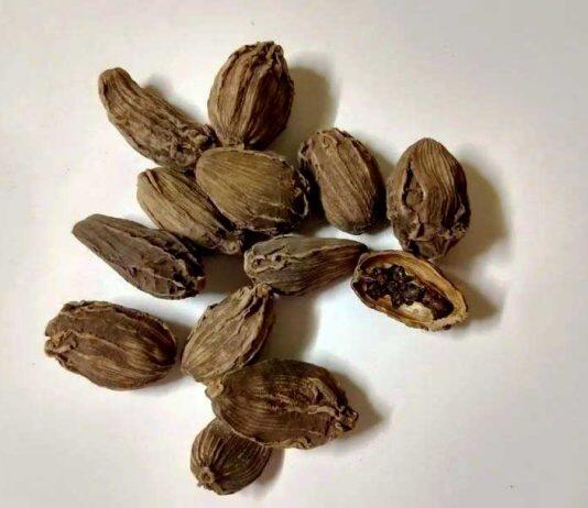 新加坡国立大学研究发现:黑豆蔻可以有效对抗肺癌细胞