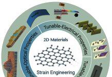 澳科大学者在国际顶级期刊发表范德华二维材料应变工程的最新进展:可调制的电学、电化学、磁学和光学特性
