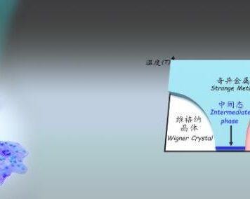 《Nature》发表南京大学缪峰合作团队“原子乐高”量子模拟重大突破