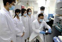 澳门大学研究团队在新储能材料研究取得重要进展