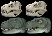 英国伯明翰大学研究人员在知名期刊发表文章