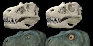 英国伯明翰大学研究人员在知名期刊发表文章