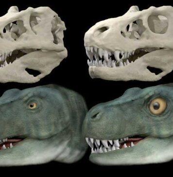 英国伯明翰大学研究人员在知名期刊发表文章