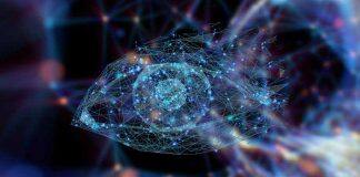 上纽大首席科学家发表论文 指出视知觉学习未来研究四大方向