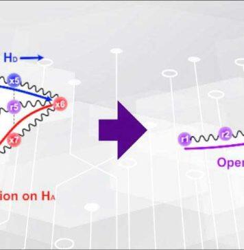 上海纽约大学计算化学团队构建电荷转移速率计算新方法