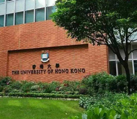 香港大学本科生招生讲座将于11月4日网上举办