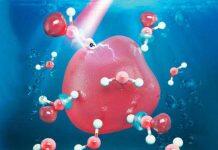 上海纽约大学团队探析水合电子特性 助推放射疗法领域未来研究