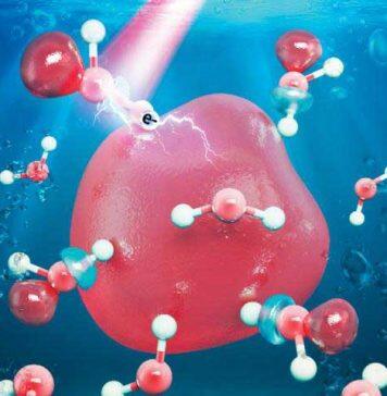 上海纽约大学团队探析水合电子特性 助推放射疗法领域未来研究