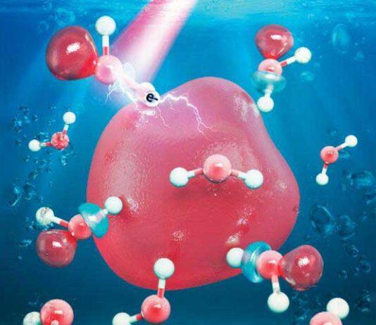 上海纽约大学团队探析水合电子特性 助推放射疗法领域未来研究