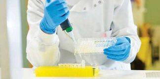 英国女王大学科研人员实现癌症研究双突破