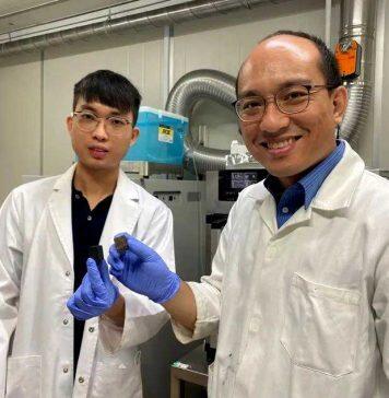 变废为宝:将废纸变成智能手机和电动汽车的电池配件