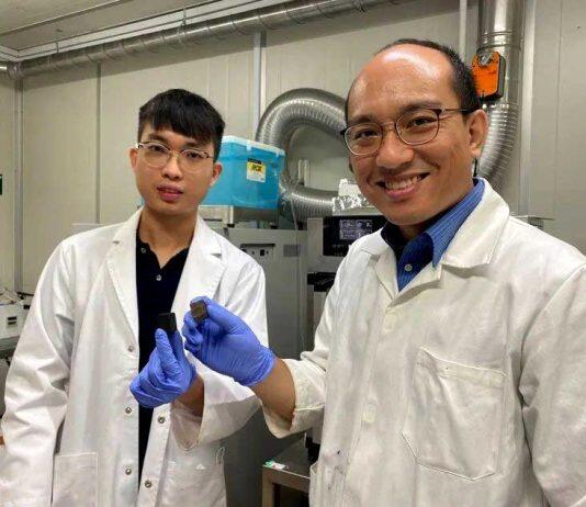 变废为宝:将废纸变成智能手机和电动汽车的电池配件