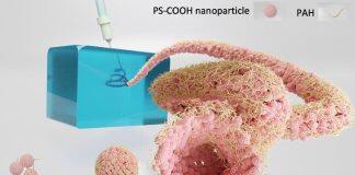 香港大学工程合作研发全水相机器人