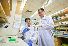 新国大研究人员新开发的癌症检测方法可实现定期监测