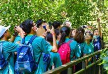 东盟青年齐心协力 共同采取气候行动