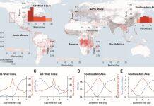 南京大学丁爱军团队在全球野火天气反馈机制方面取得重大进展