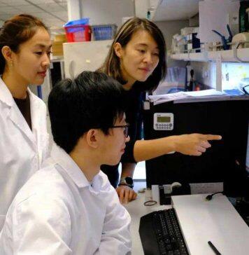 港科大突破性发现罕见肿瘤细胞「间谍」 揭示不为人知的癌细胞