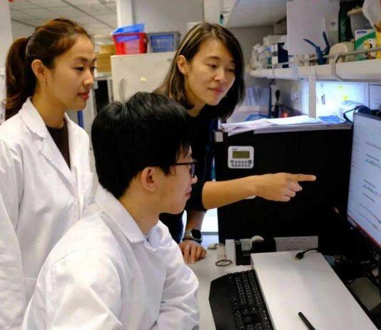 港科大突破性发现罕见肿瘤细胞「间谍」 揭示不为人知的癌细胞
