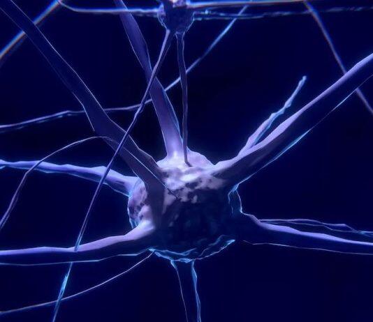 耗资1170万美元打造南加州大学新科研中心 为神经系统研发开源可植入设备