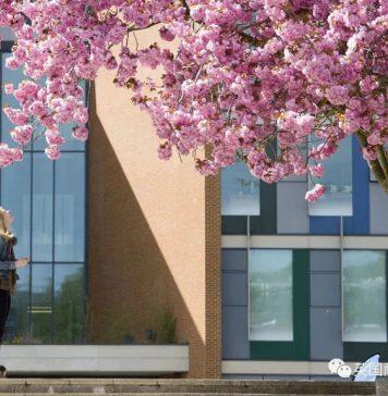 英国萨塞克斯大学商学院招聘