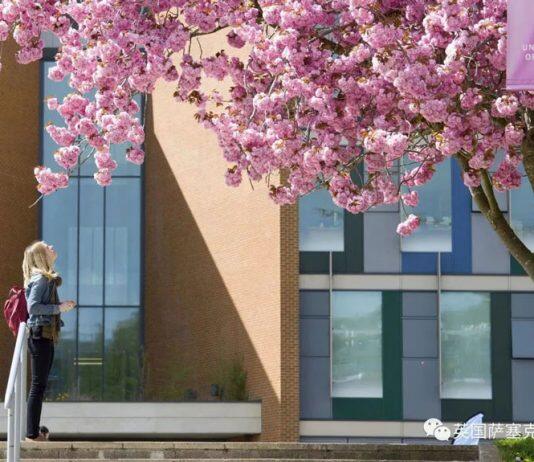 英国萨塞克斯大学商学院招聘