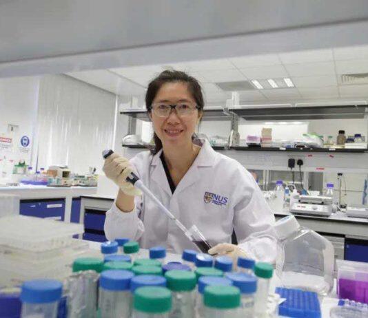 新国大杰出青年教授薛拾枫:奏响生物科学的“交响曲”