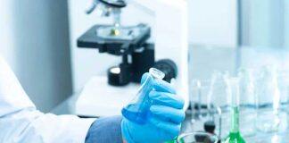 跟随蒙纳士大学研究人员探究结直肠肿瘤的秘密