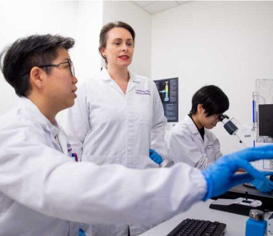 新加坡南洋理工大学科研找到了“代谢开关” 有助治疗阿尔茨海默症
