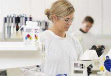 纽卡斯尔大学成为全澳首家斩获两项科学性别平等奖项的大学