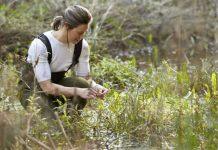 水生环境正在遭受前所未有的破坏与蒙纳士一起保护地球资源
