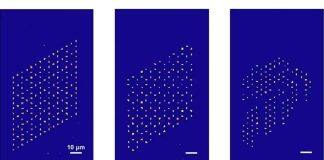 来自新国大的量子科学家创造出最为先进的无缺陷原子阵列