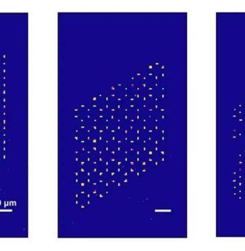 来自新国大的量子科学家创造出最为先进的无缺陷原子阵列