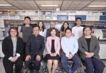 香港科技大学取得重大科研突破 首度利用人工智能为阿尔兹海默症作早期风险预测