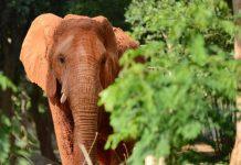 杜克教授|致力于创建以自然为本的经济