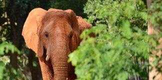 杜克教授|致力于创建以自然为本的经济