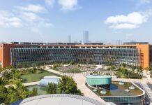 董事会对CEO的信任度如何影响公司表现?西浦学者发表顶刊论文