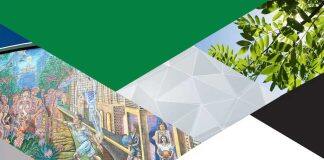 城市林木树冠覆盖遇上环境公平