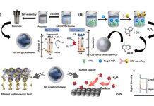 澳门大学成功构建癌症精准评估平台